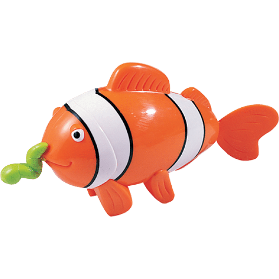 pesce clown nuotatore