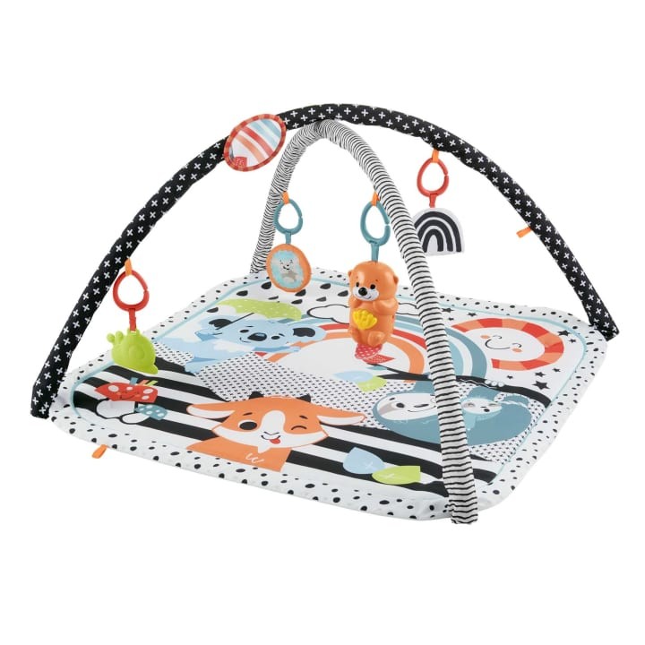 Palestrina Luci e Suoni degli Amici Animali 3-in-1 Fisher Price