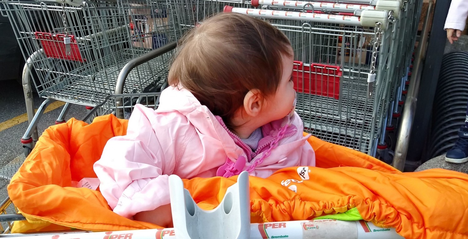 Carrello della spesa carrello di protezione carrello per bambini sedia da  pranzo per bambini borsa per sedili sedia carrello copertura carrello  carrello per supermercato riutilizzabile - AliExpress