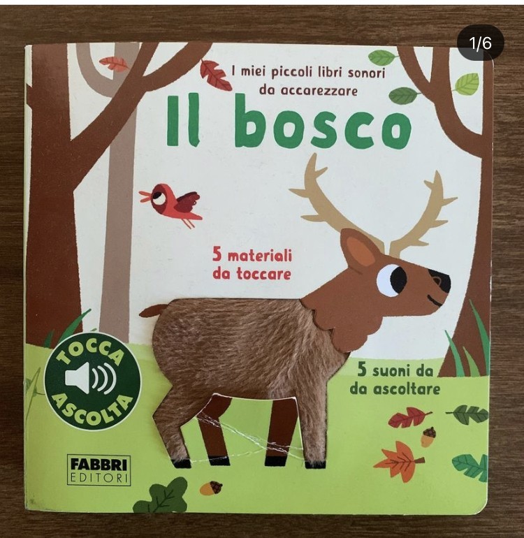 Il bosco 1