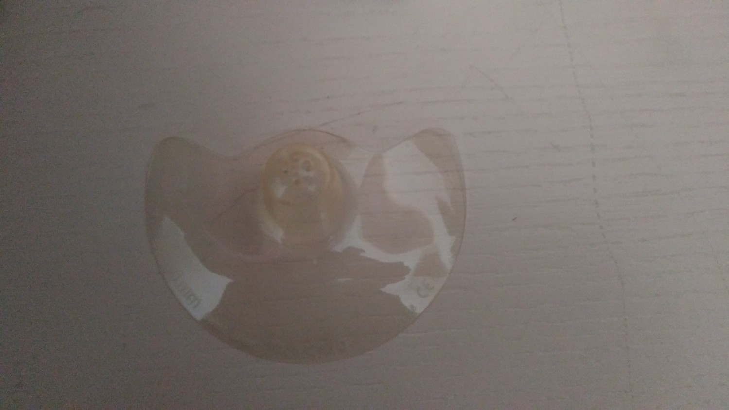 20210205_113300
