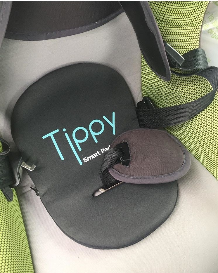 Foto di Tippy nel seggiolone auto