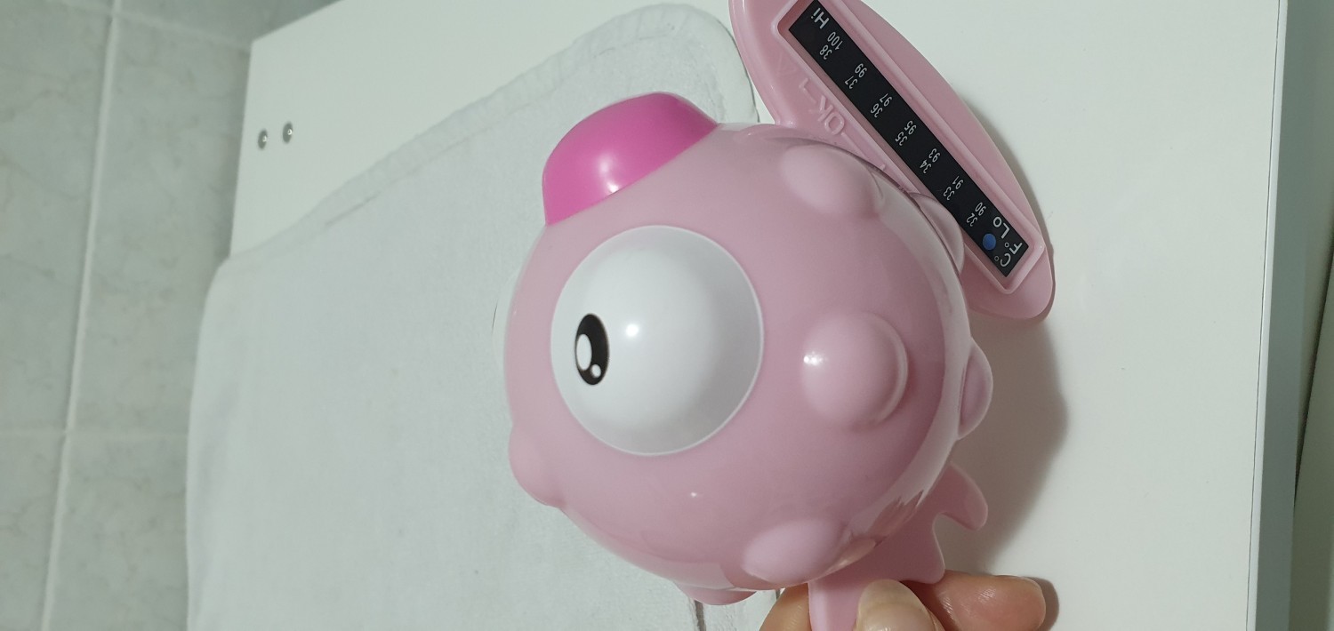 Termometro pesce palla rosa
