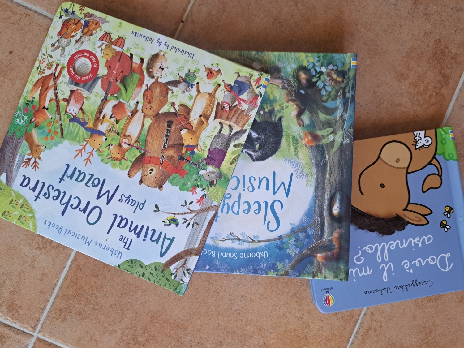 Libri Usborne