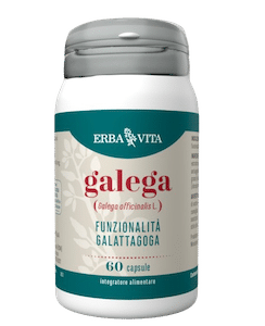 Galega-Erba-Vita