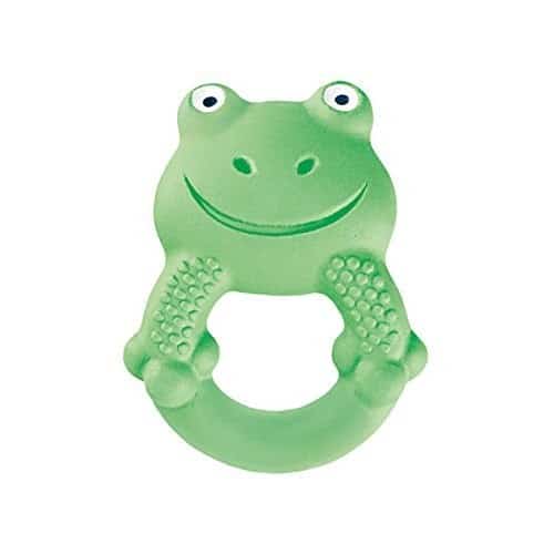 Dentaruolo Max The Frog